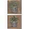 Herb Trio & Pretty Plant in Pail by Julie Norkus 14" x 14" Canvas Wall Art (Set of 2)